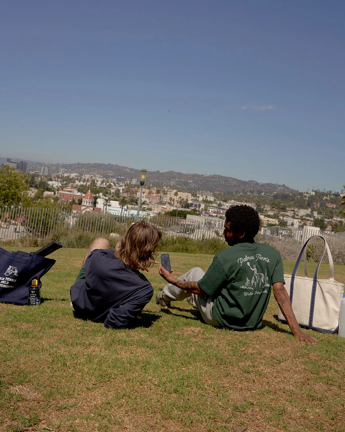 Palmes results and impact